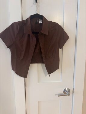 Divided Brown Short-Sleeve Cropped Button-Up Top